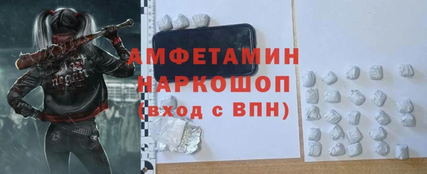 мет Алексин