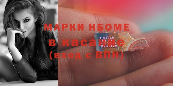 мет Алексин