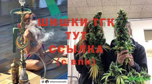 сатива Алексеевка