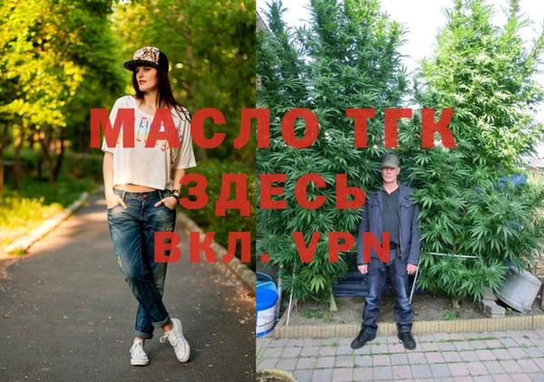 сатива Алексеевка