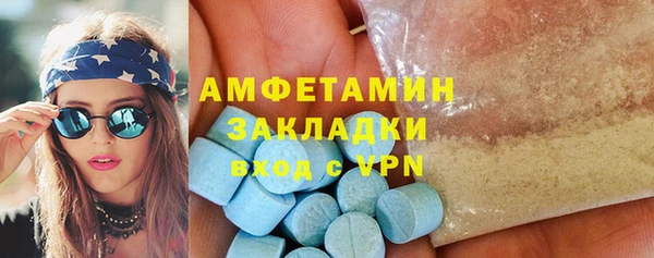 мет Алексин
