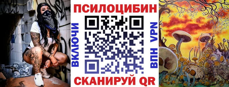 Псилоцибиновые грибы Psilocybe mega зеркало Белоозёрский купить наркотик